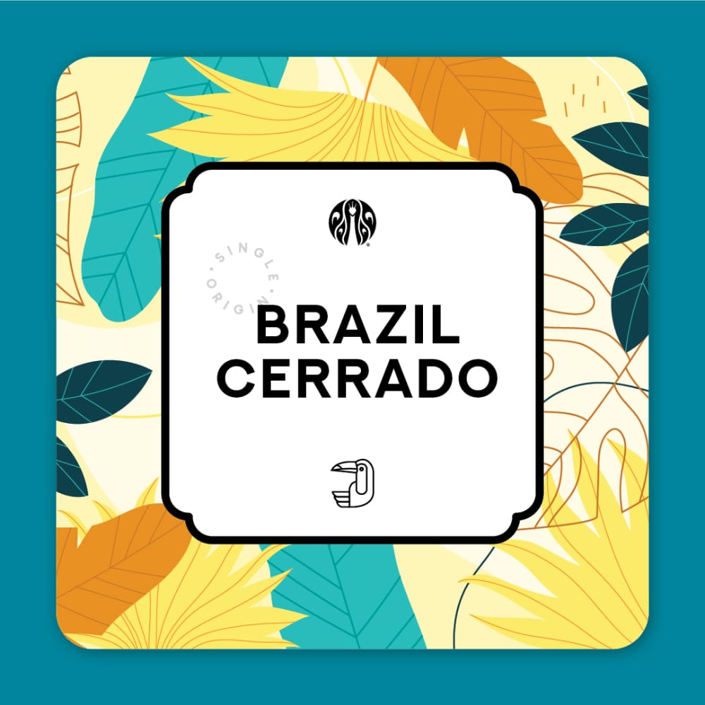 Brazil Cerrado - JCO RESERVE