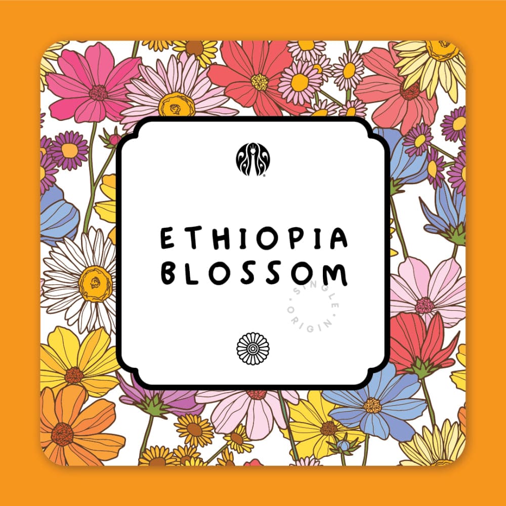 Ethiopia Blossom - JCO RESERVE